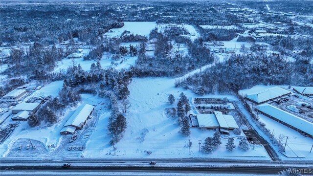 VL Transit Road, Elma, NY 14059 - photo 15