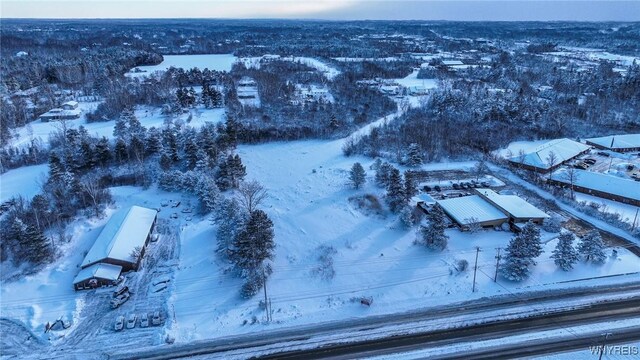 VL Transit Road, Elma, NY 14059 - photo 19