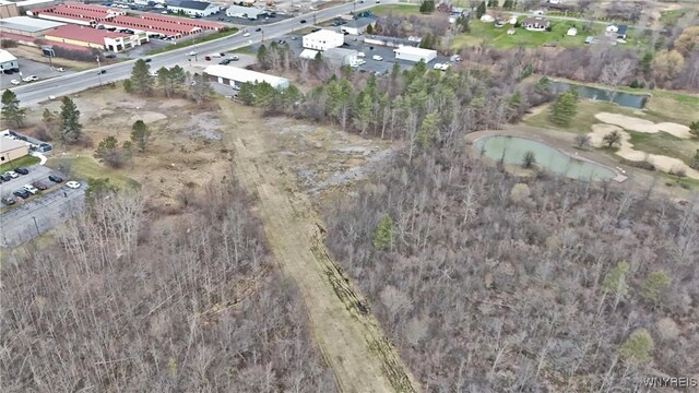 VL Transit Road, Elma, NY 14059 - photo 36