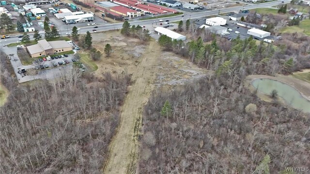 VL Transit Road, Elma, NY 14059 - photo 37