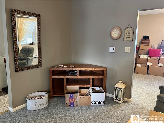 miscellaneous room featuring carpet flooring and baseboards