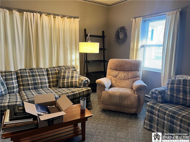 carpeted living room featuring a wealth of natural light and baseboard heating