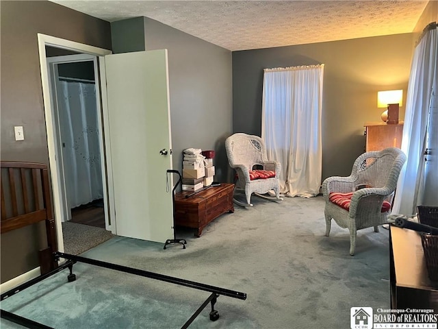 living area featuring a textured ceiling and carpet flooring