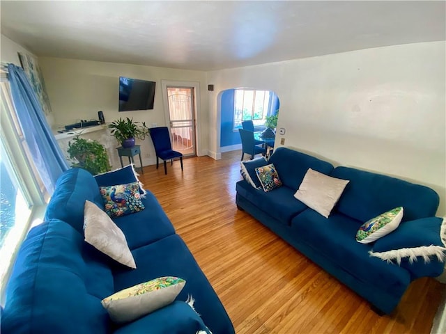 living room featuring a healthy amount of sunlight and hardwood / wood-style floors