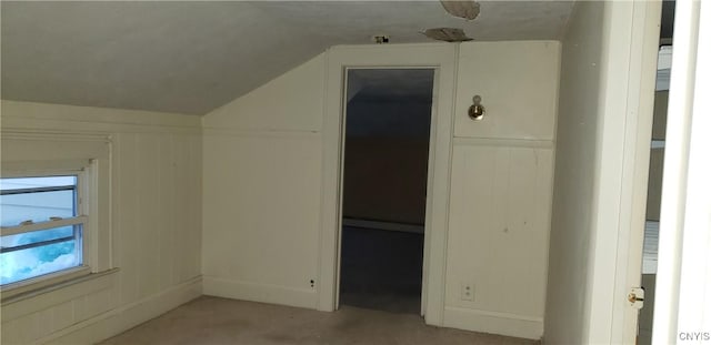 bonus room featuring vaulted ceiling and light colored carpet