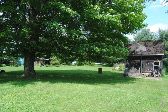 516 N Tionesta Ave, Kane Boro, PA 16735 - view of grassy yard