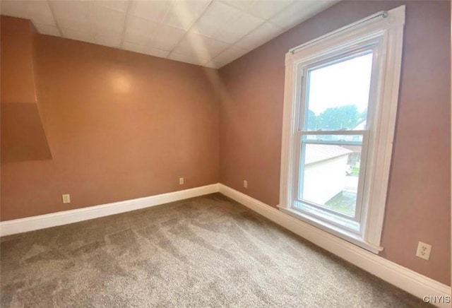 bonus room with carpet