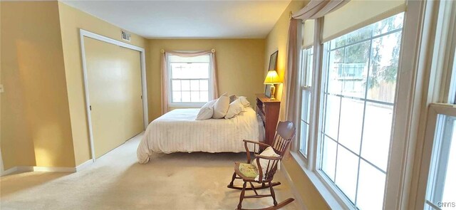 carpeted bedroom with a closet