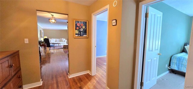 hallway featuring wood-type flooring