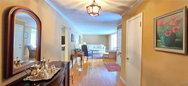 hall featuring hardwood / wood-style floors and ornamental molding