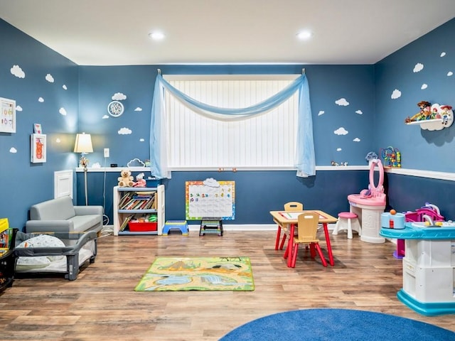 recreation room featuring wood-type flooring