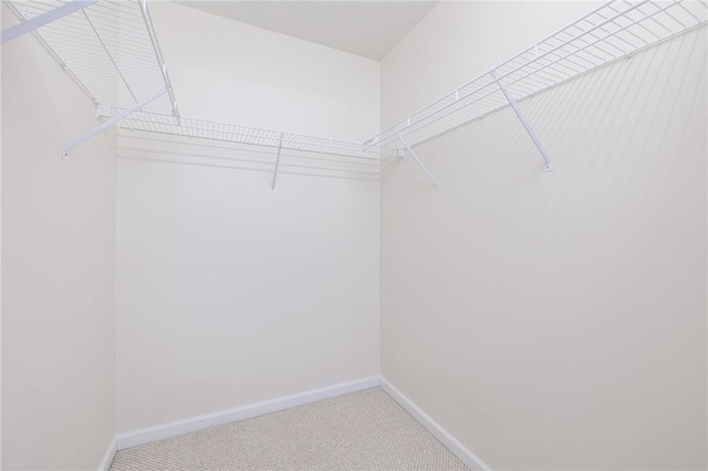 walk in closet with carpet