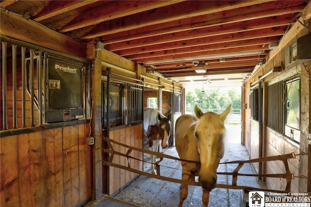 view of horse barn