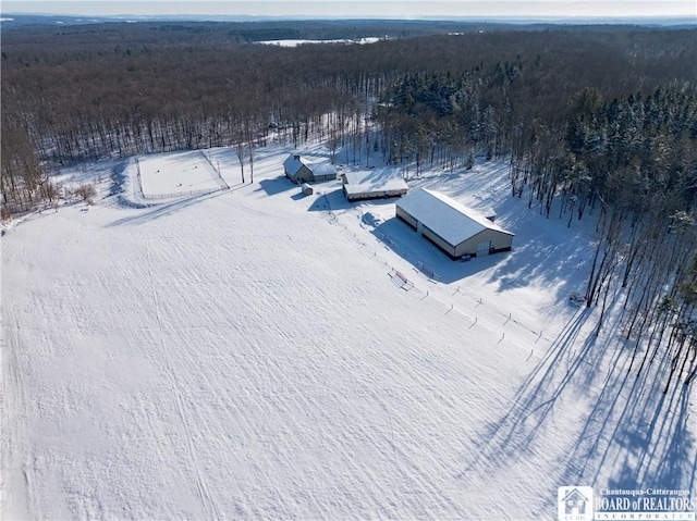 view of snowy aerial view