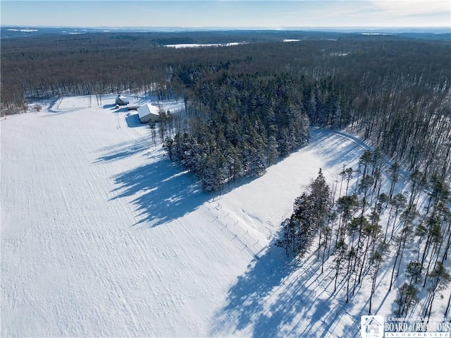 view of snowy aerial view