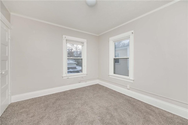 spare room featuring carpet and crown molding