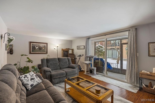 living room featuring wood-type flooring