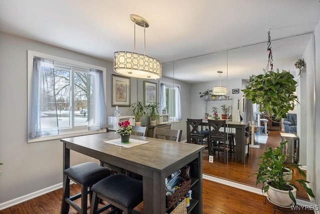 dining area featuring dark hardwood / wood-style floors