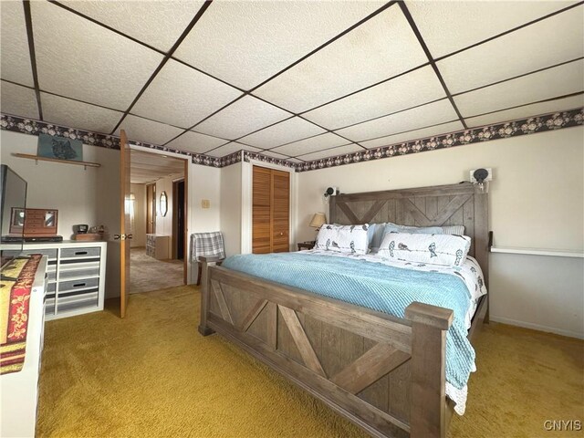 bedroom featuring carpet floors, a drop ceiling, and a closet