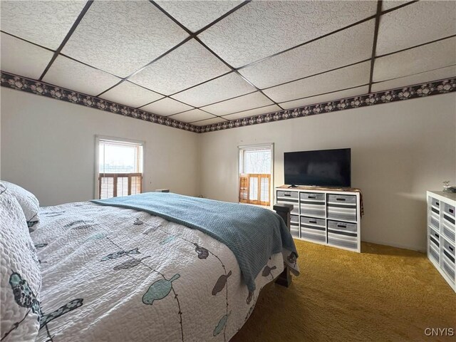 514 Main St, Brownville, NY 13601 - bedroom featuring carpet flooring, multiple windows, and a drop ceiling