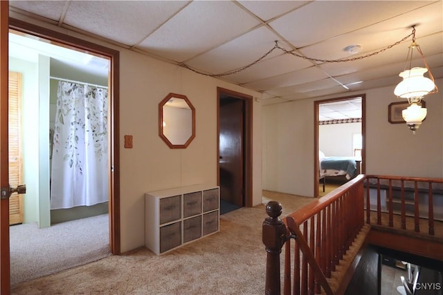 corridor with carpet and a drop ceiling