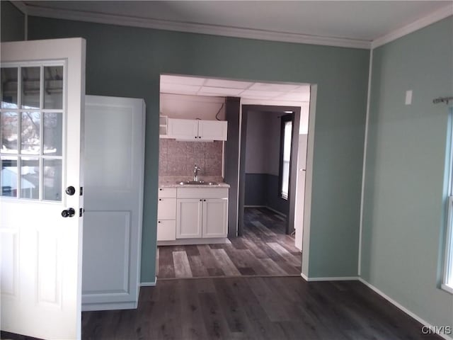 interior space featuring dark hardwood / wood-style flooring, sink, and ornamental molding