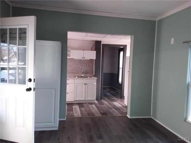 514 Main St, Brownville, NY 13601 - hallway featuring a sink, crown molding, dark wood-style flooring, and baseboards