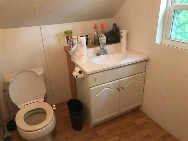 bathroom featuring hardwood / wood-style flooring, vanity, and toilet