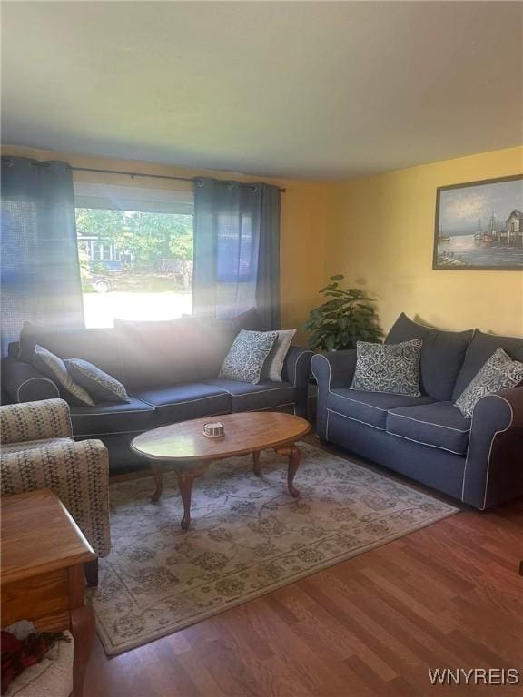 living room featuring wood-type flooring