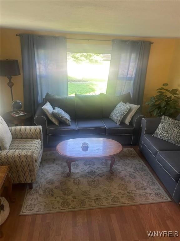 living room with hardwood / wood-style flooring