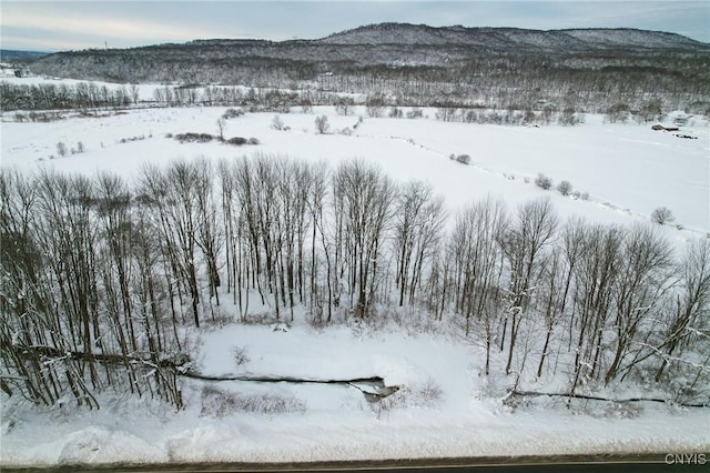 snowy aerial view with a mountain view