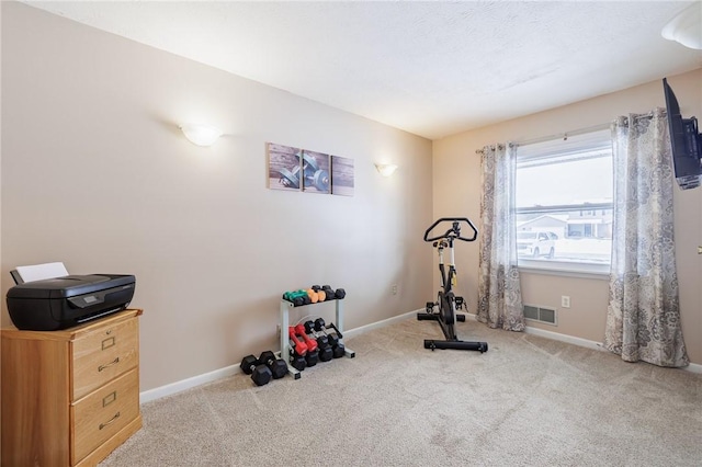 exercise area featuring light colored carpet