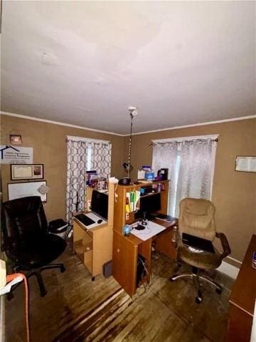 office featuring hardwood / wood-style floors and crown molding