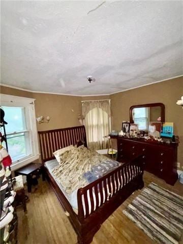 bedroom featuring hardwood / wood-style flooring