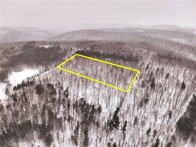 L21.126 Roosa Rd, Canisteo NY, 14823 land for sale