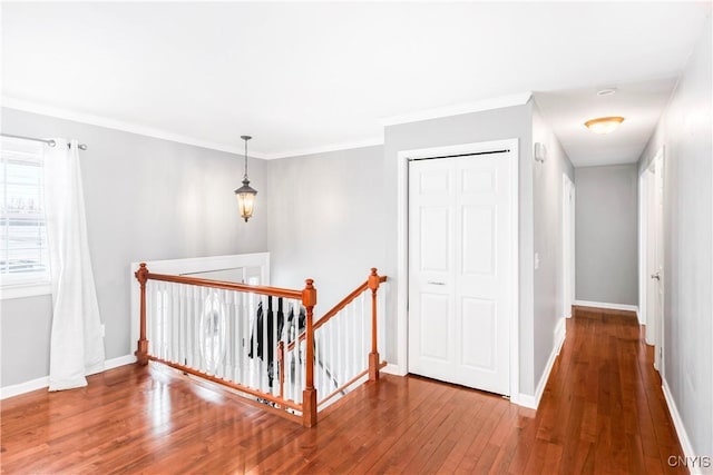 hallway featuring hardwood / wood-style flooring and ornamental molding