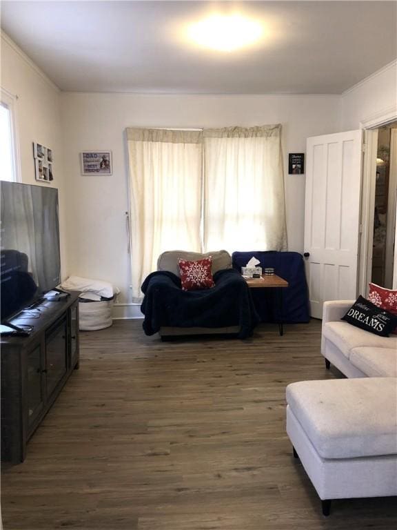 living room with dark wood-type flooring