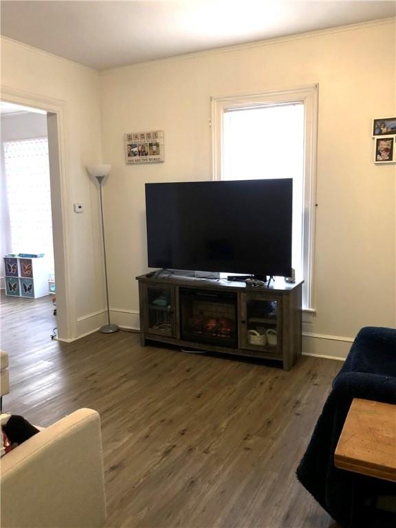 living room with dark hardwood / wood-style flooring