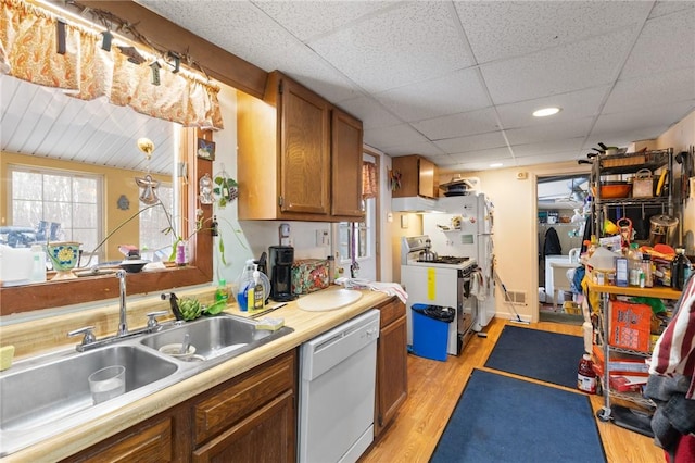 kitchen featuring range with gas cooktop, dishwasher, sink, light wood-type flooring, and a drop ceiling