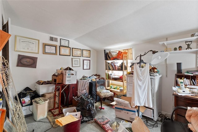 misc room featuring vaulted ceiling and carpet