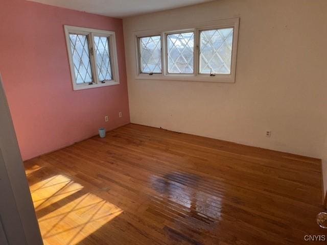 empty room featuring hardwood / wood-style floors and plenty of natural light