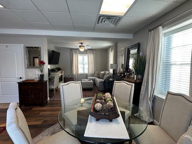 dining room with dark wood-type flooring, a drop ceiling, and a healthy amount of sunlight