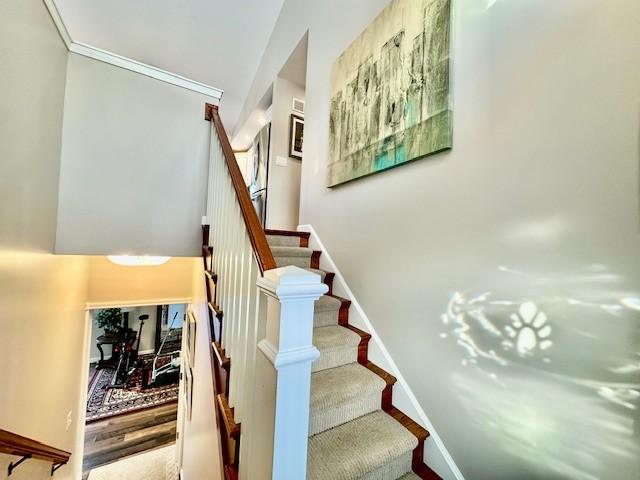 stairs featuring crown molding and wood-type flooring