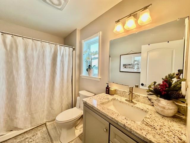 bathroom featuring vanity, toilet, and curtained shower