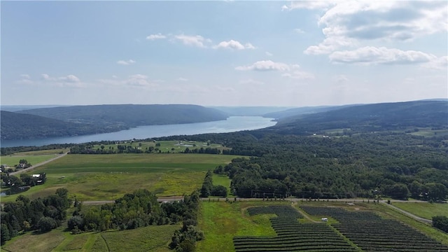 view of mountain feature with a water view and a rural view