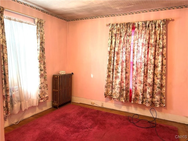 empty room featuring a wealth of natural light and radiator heating unit