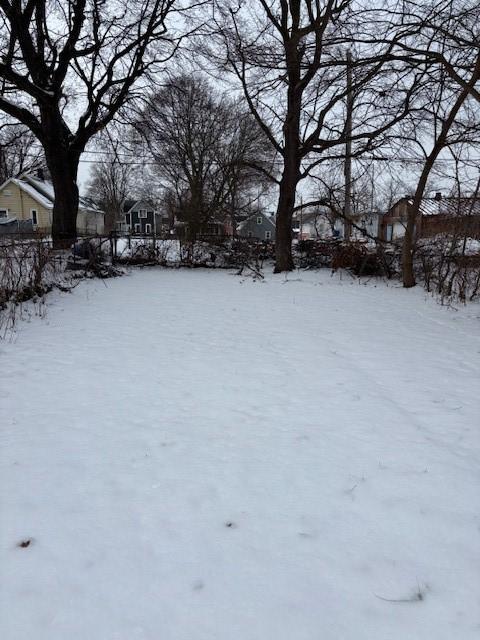 view of yard covered in snow