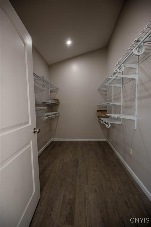 spacious closet with dark hardwood / wood-style floors