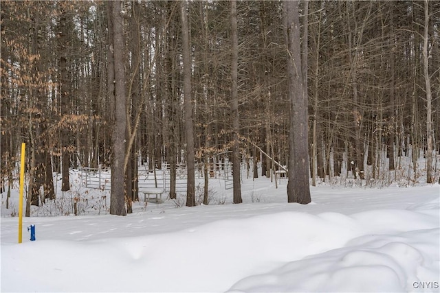 view of snowy landscape