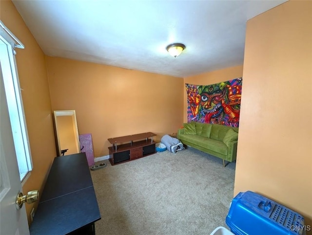 living area with carpet flooring